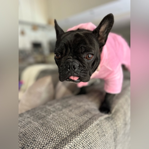 Meet your Posher, Melea - Picture 3 of 3